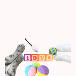 Cat Toys