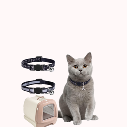 Cat Collars and Carriers 