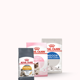 Cat Dry food 