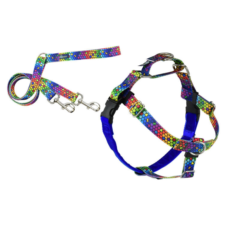 RAINBOW FREEDOM NO PULL HARNESS AND LEASH - XS_thumbnail_0