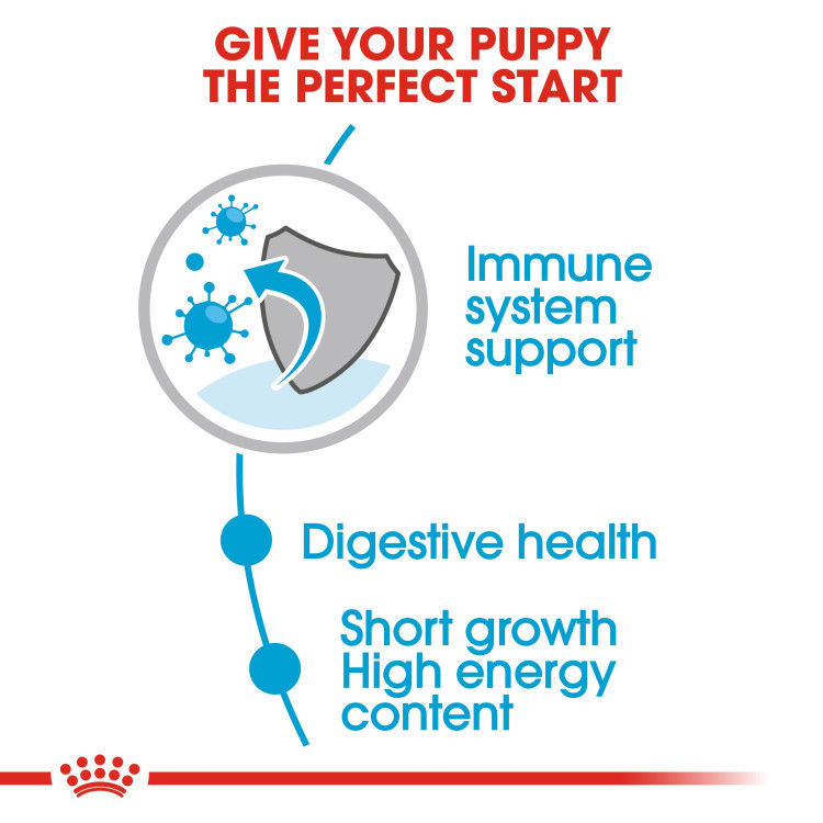 Royal Canin Medium Puppy (Wet Food - Pouches) 10 x 140 g_thumbnail_3