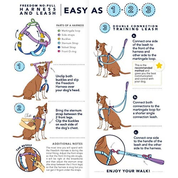 RAINBOW FREEDOM NO PULL HARNESS AND LEASH - SMALL_thumbnail_1