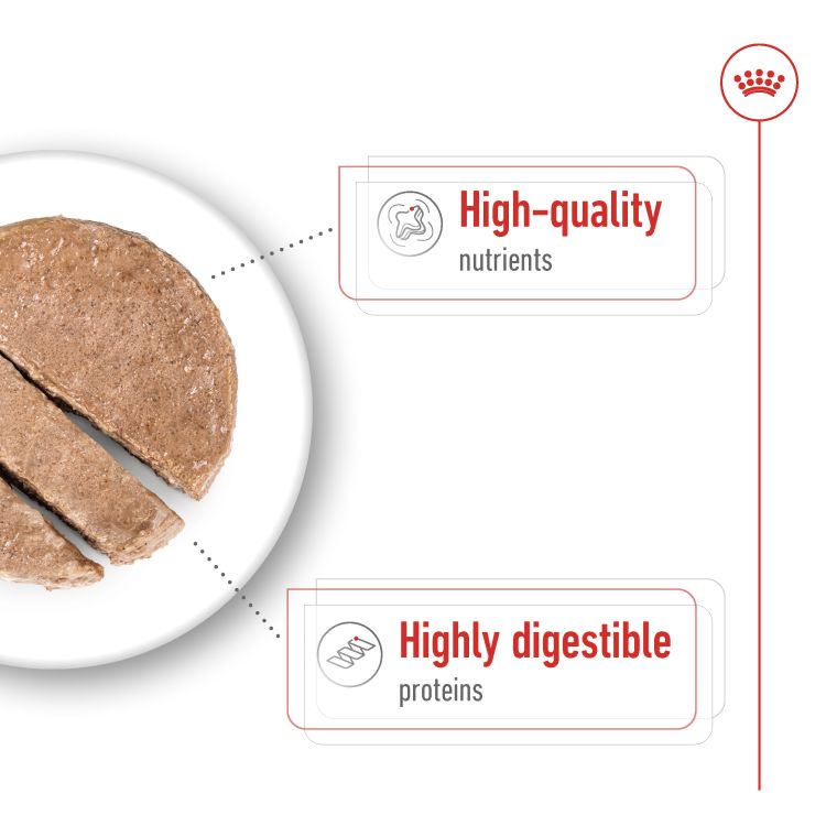 Royal Canin Maxi Adult (Wet Food - Can) 12 x 410 g_thumbnail_2