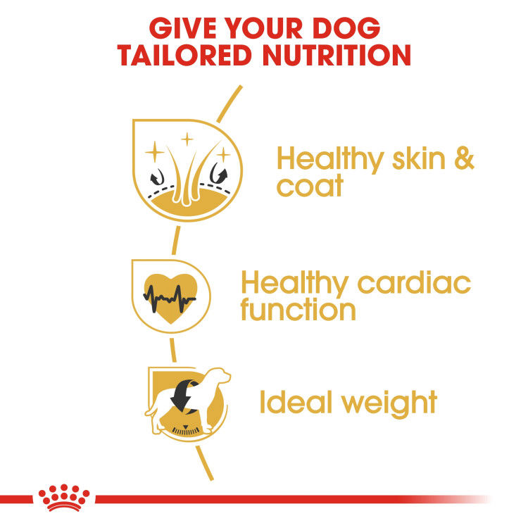 Royal canin Golden Retriever Adult 12 kg_thumbnail_3