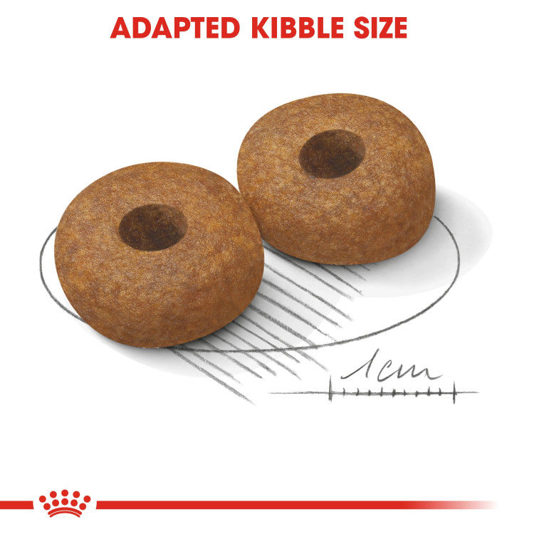 Royal Canin Medium Ageing 10+ 3 kg_thumbnail_2