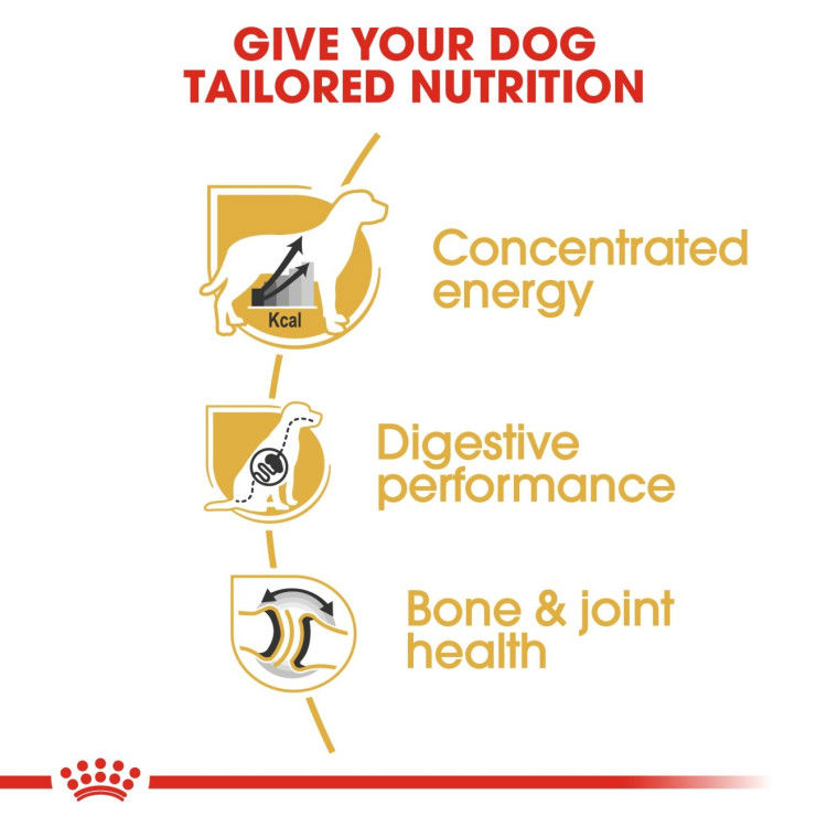 Royal canin Great Dane Adult 12 kg_thumbnail_2
