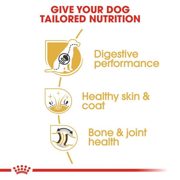 Royal Canin German Shepherd Adult 3 kg_thumbnail_2