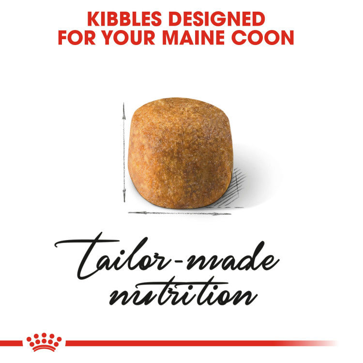 Royal Canin Maine Coon Adult 2 kg_thumbnail_3