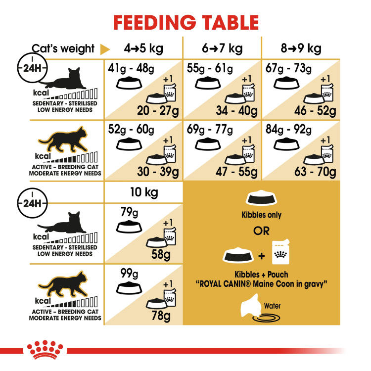 Royal Canin Maine Coon Adult 2 kg_thumbnail_1