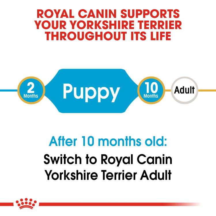 Royal Canin  Yorkshire Puppy 1.5 kg_thumbnail_1
