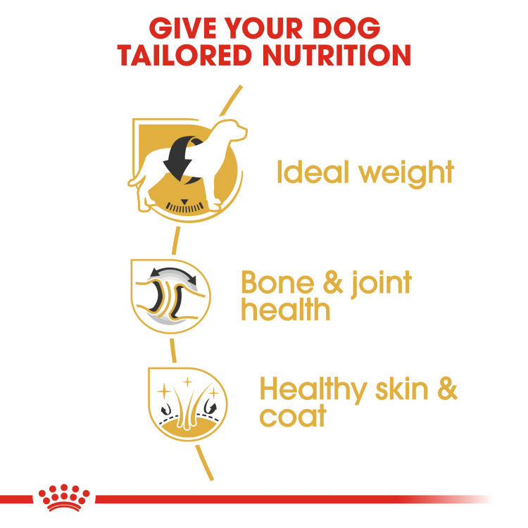 Royal canin Labrador Adult 3 kg_thumbnail_3