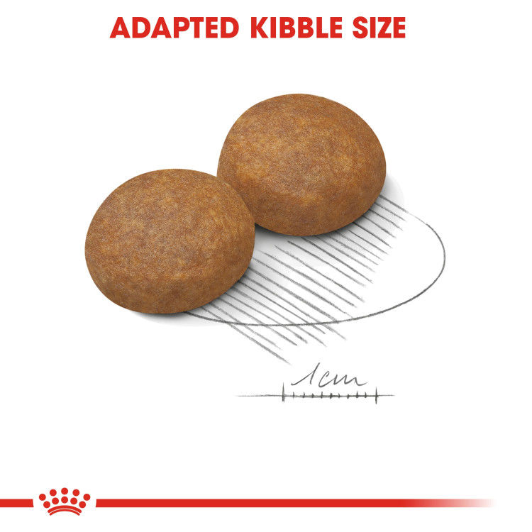 Royal Canin Maxi Adult 5+ 15 kg_thumbnail_3