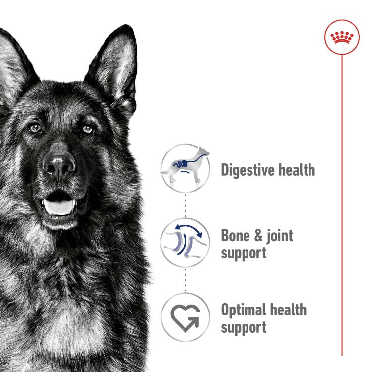Royal Canin Maxi Adult 10 kg_thumbnail_3