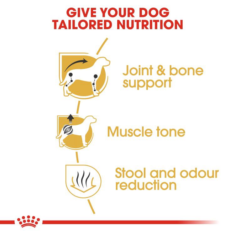 Royal Canin Dachshund Adult 1.5 kg_thumbnail_3