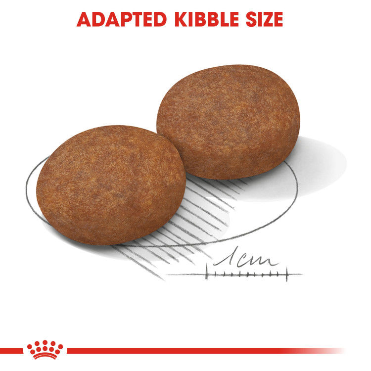 Royal Canin Medium Adult 7+ 10 kg_thumbnail_3