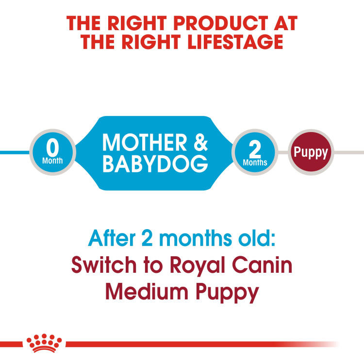 Royal Canin Medium Starter 4 kg_thumbnail_5
