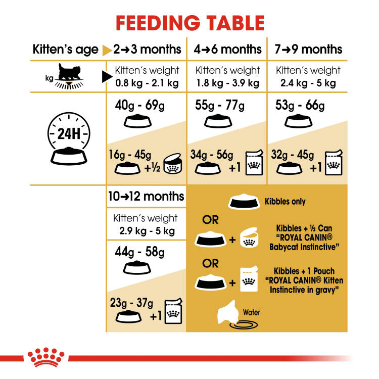 Royal Canin Persian Kitten 2 kg_thumbnail_2