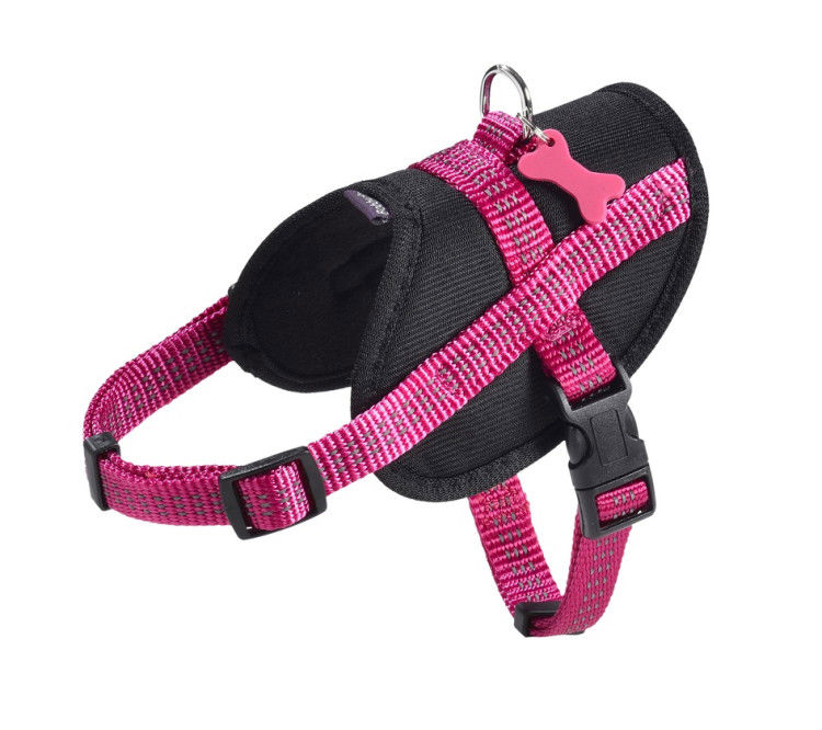 Easy Safe Harness Fuchsia – Medium_thumbnail_0