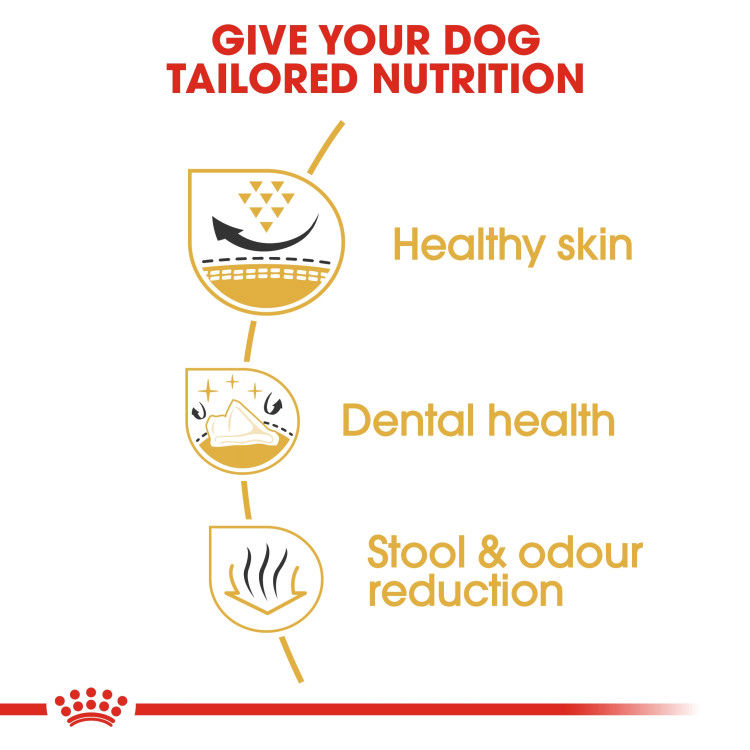 Royal Canin Shih Tzu Adult 7.5 kg_thumbnail_3