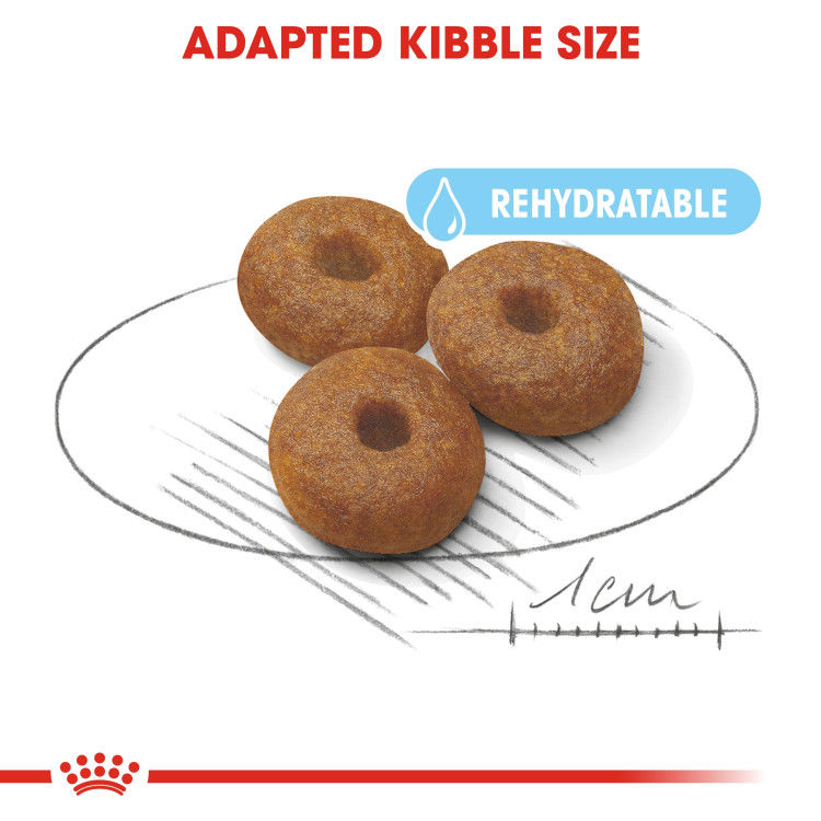Royal Canin Maxi Starter 15 Kg _thumbnail_3