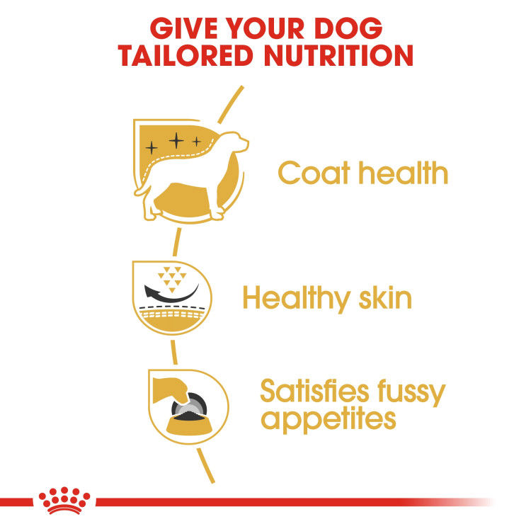 Royal Canin Westie Adult 3 kg_thumbnail_3