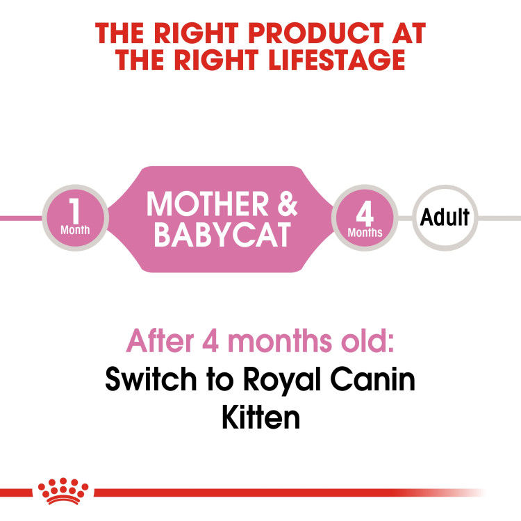 Royal Canin Mother & Babycat Mousse (Wet Food - Cans) 12 x 195 g_thumbnail_2
