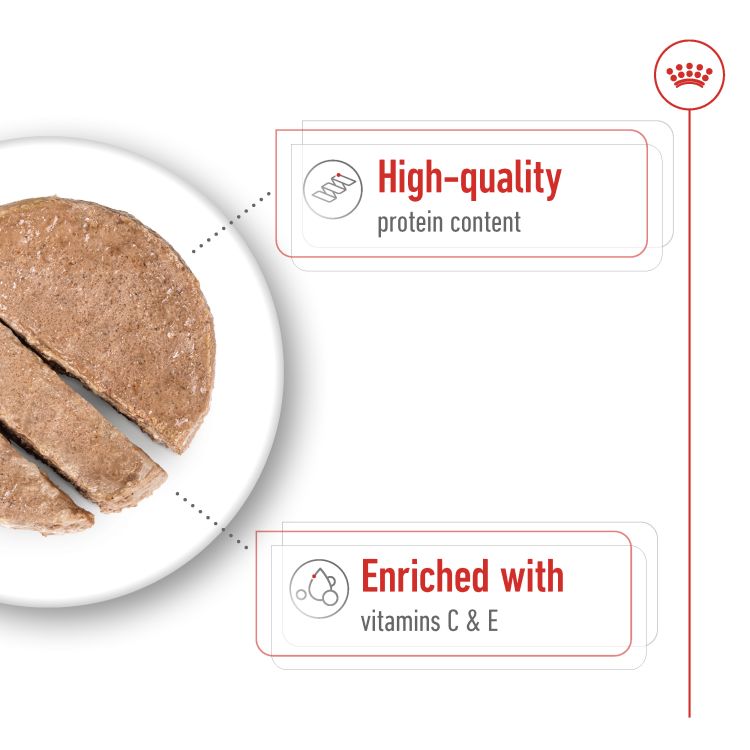 Royal Canin Medium Adult (Wet Food - Can) 12 x 410 g_thumbnail_2