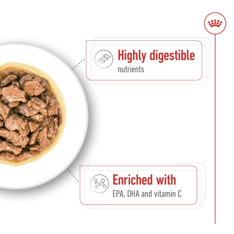  Royal Canin XS Adult (Wet Food - Pouches) 12 x 85 g_thumbnail_2