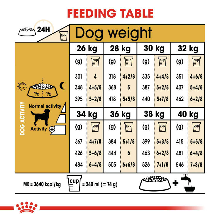 Royal canin Labrador Adult 12 kg_thumbnail_4
