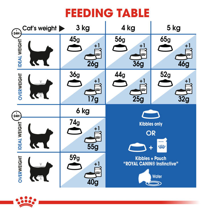 Royal Canin Indoor 2 kg_thumbnail_2