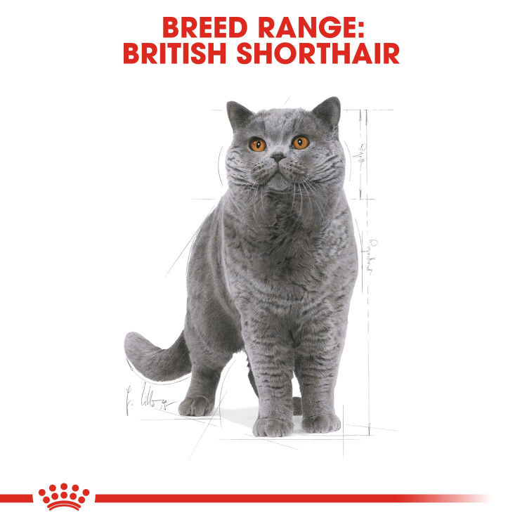 Feline Breed Nutrition British Shorthair Adult 4 kg_thumbnail_2