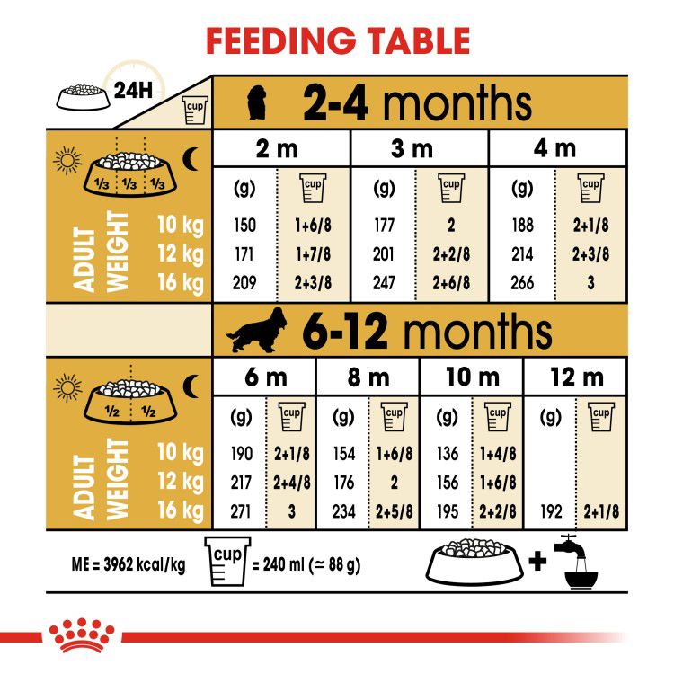 Royal Canin Cocker Puppy 3 kg_thumbnail_4