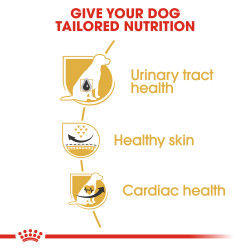 Royal Canin Dalmatian Adult 12 kg_thumbnail_2