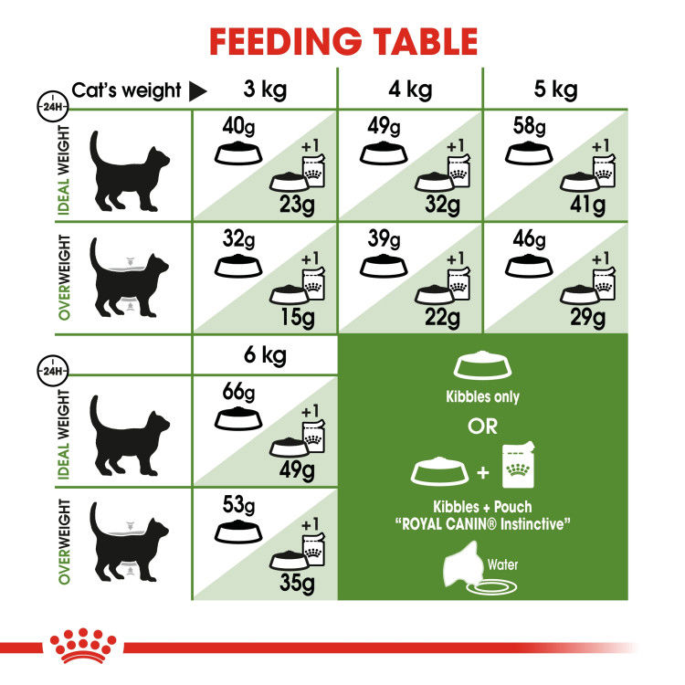 Royal Canin Outdoor 2 kg_thumbnail_1