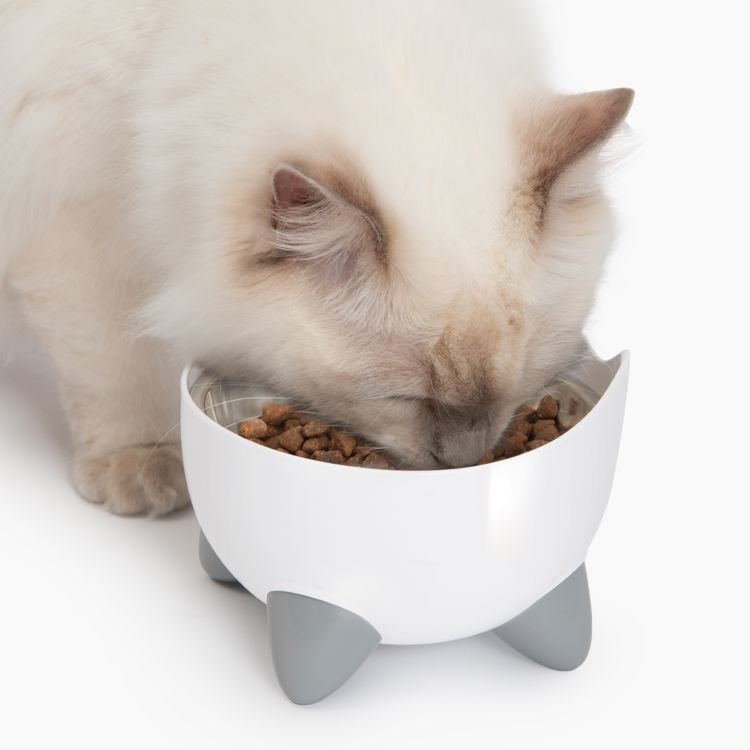 Catit PIXI Drinking Fountain Combo Pack _thumbnail_3