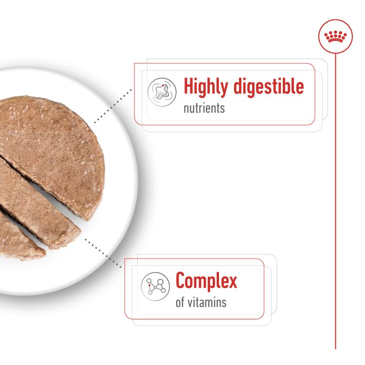 Royal canin Mini Adult (Wet Food - Can) 12 x 195 g_thumbnail_2