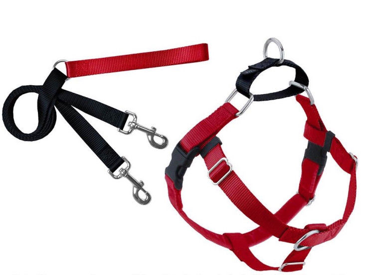 Freedom No-Pull Harness and Leash - Red / Medium 5/8"_thumbnail_0