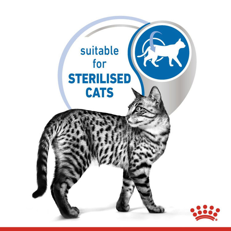 Royal Canin Indoor (Wet Food - Pouches) 12 x 85 g_thumbnail_3