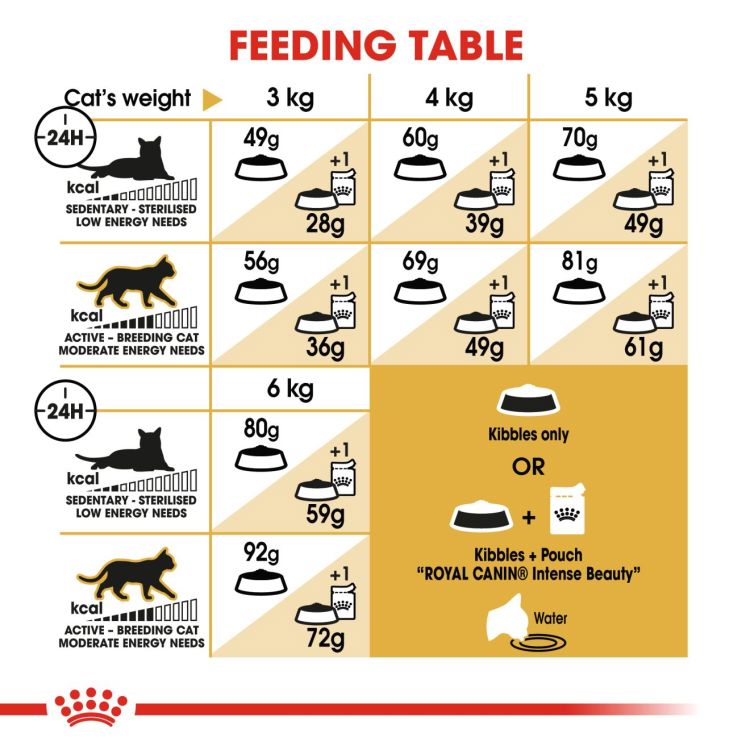 Royal Canin Sphynx 2 kg_thumbnail_4