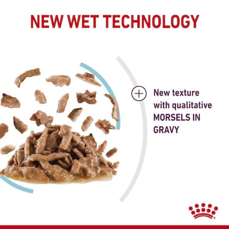 Royal Canin Sensory Feel Gravy (Wet Food - Pouches) 12 x 85 g_thumbnail_3