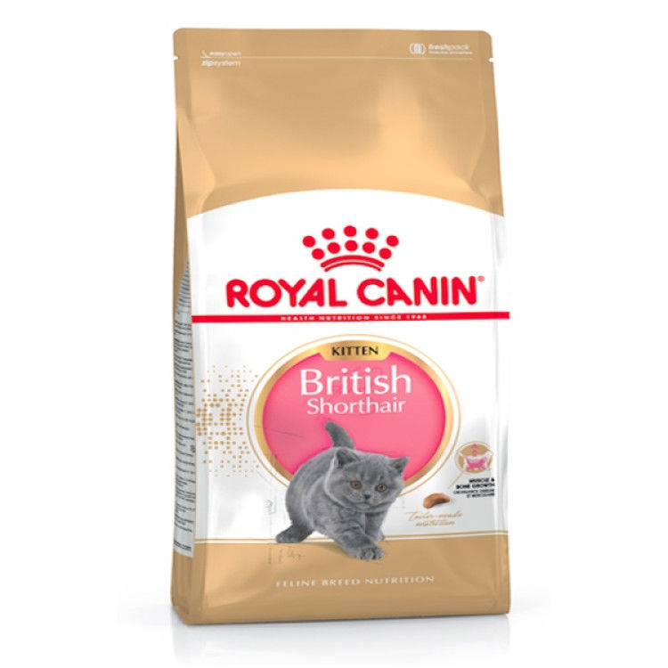 Royal Canin British Shorthair Kitten 2 kg_thumbnail_4