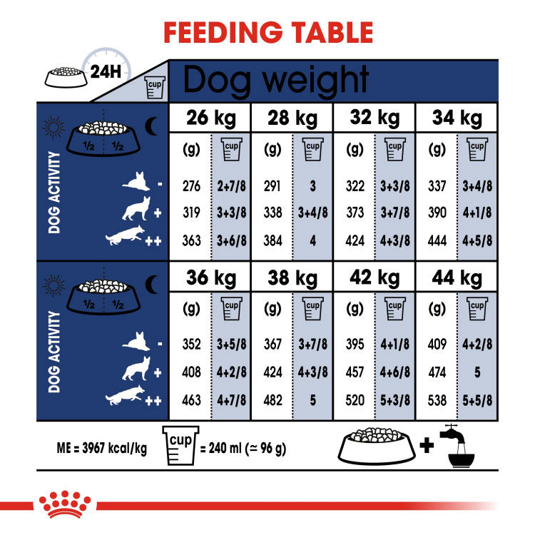 Royal Canin Maxi Adult 4 kg_thumbnail_1