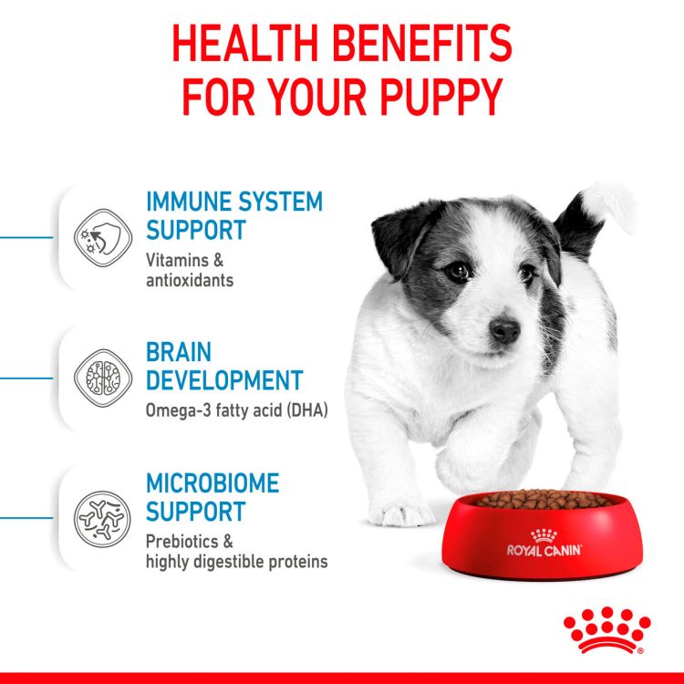 Royal Canin Mini Puppy 2 kg_thumbnail_1