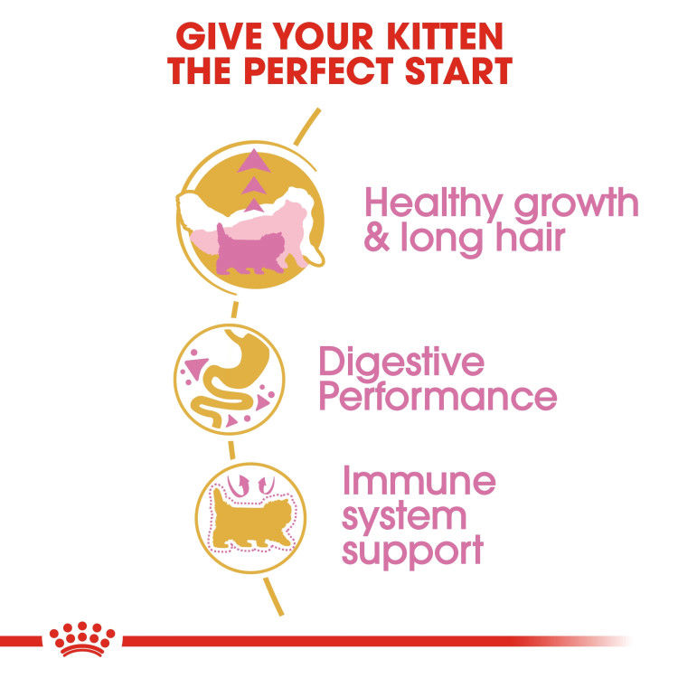 Royal Canin Persian Kitten 2 kg_thumbnail_4