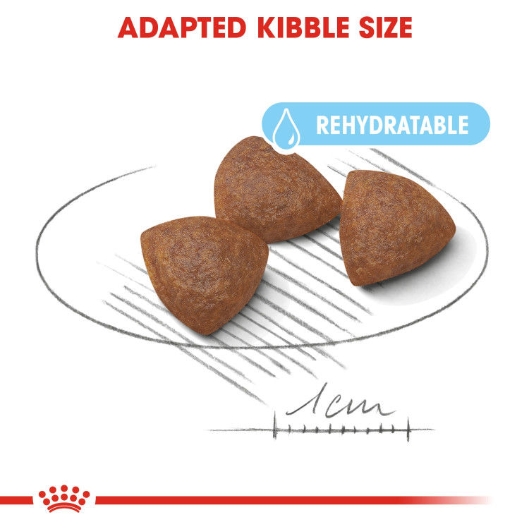 Royal Canin Medium Starter 4 kg_thumbnail_4