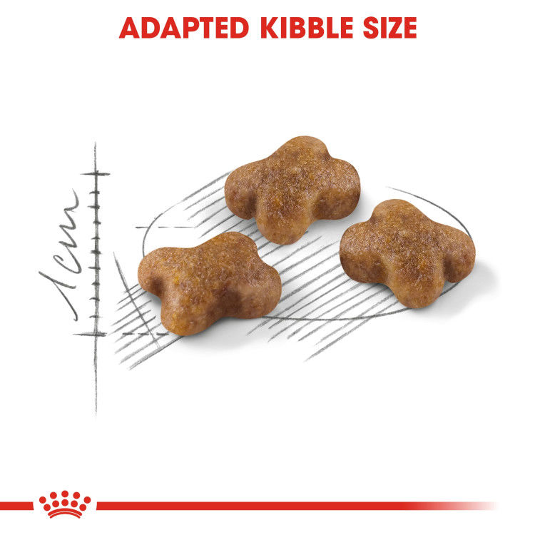 Royal Canin Kitten 10 kg_thumbnail_4