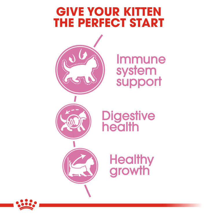 Royal Canin Kitten 10 kg_thumbnail_5