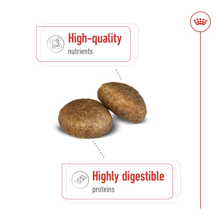 Royal Canin Maxi Adult 10 kg_thumbnail_2