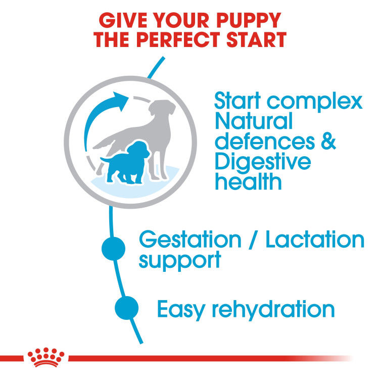 Royal Canin Medium Starter 4 kg_thumbnail_3