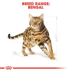 Feline Breed Nutrition Bengal Adult 2 kg_thumbnail_4